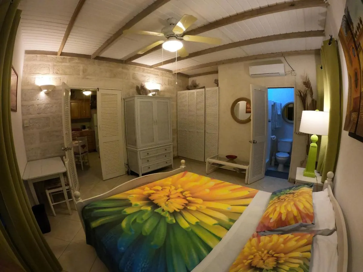 Yellow Bird Apartment Christ Church